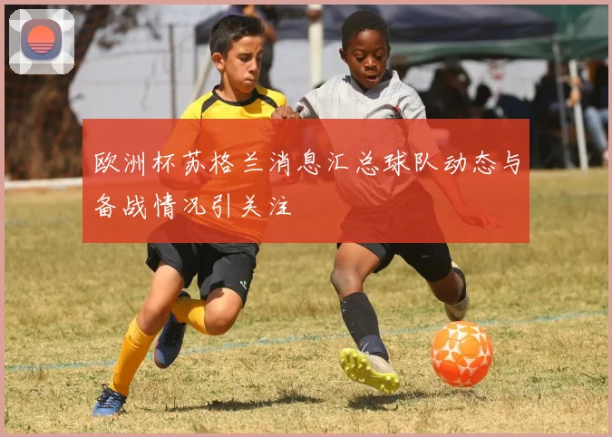 欧洲杯苏格兰消息汇总球队动态与备战情况引关注