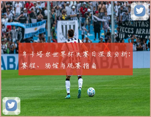 年卡塔尔世界杯决赛日深度分析：赛程、场馆与观赛指南