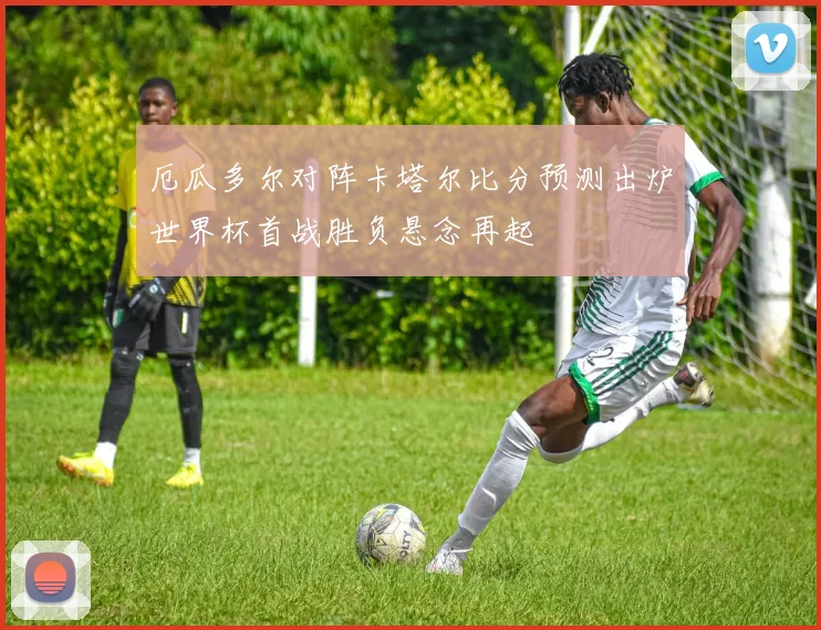 厄瓜多尔对阵卡塔尔比分预测出炉世界杯首战胜负悬念再起